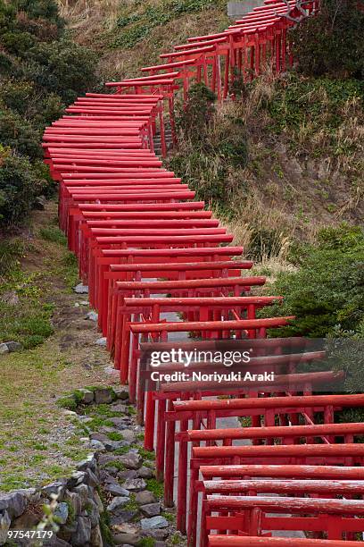 torii gate,japan - torii gate stock pictures, royalty-free photos & images