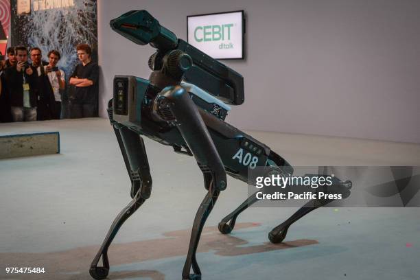 Presentation of the SpotMini robot at CeBIT 2018 in Hanover. SpotMini is a small four-legged robot with the ability to pick up and handle objects...