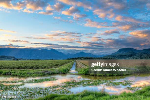 waterways - wheeler fields stock pictures, royalty-free photos & images