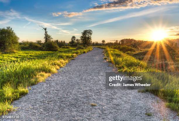 sunrise path - wheeler fields stock pictures, royalty-free photos & images