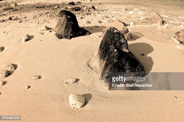sandy reef - nocerino stock pictures, royalty-free photos & images