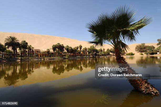 Oasis High-Res Stock Photo