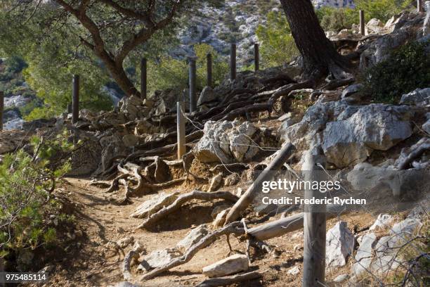 path to the calanque (marseille) - calanque stock pictures, royalty-free photos & images