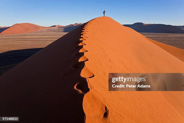 man climbing sand dunes, namib desert, namibia - namib naukluft national park stock pictures, royalty-free photos & images