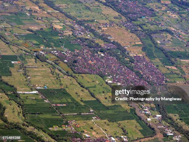 ubud district - singaraja imagens e fotografias de stock