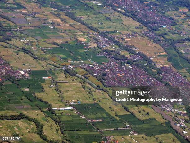 ubud district - シンガラジャ ストックフォトと画像