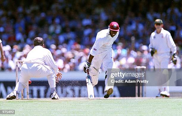 Sherwin Campbell of West Indies narrowly avoids being run out by Stuart MacGill of Australia during his half century against Australia during the...