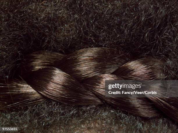 Single Braid Texture 264 Braided Hair Texture Stock Photos, High-Res Pictures, and Images ...