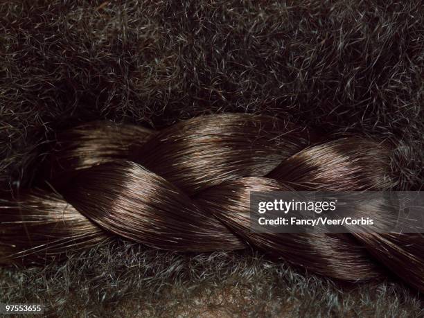 braided hair and curly hair - braided hair imagens e fotografias de stock