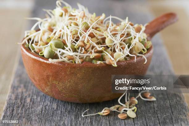 bowl of beansprouts - overflowed stock pictures, royalty-free photos & images