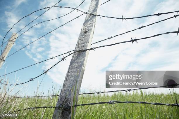barbed wire fence - agricultura 個照片及圖片檔