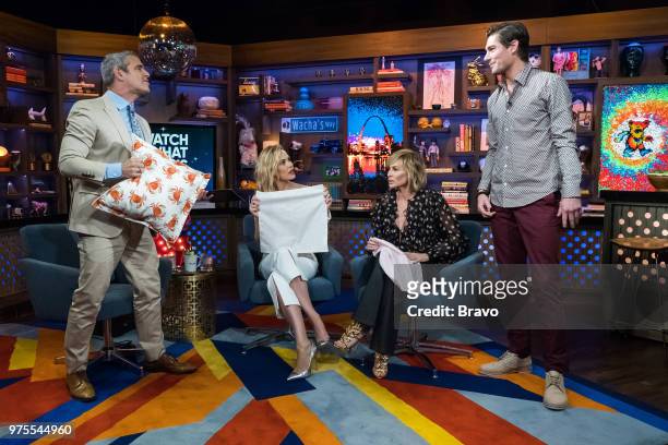 Pictured : Andy Cohen, Leslie Bibb, Carole Radziwill and Craig Conover --