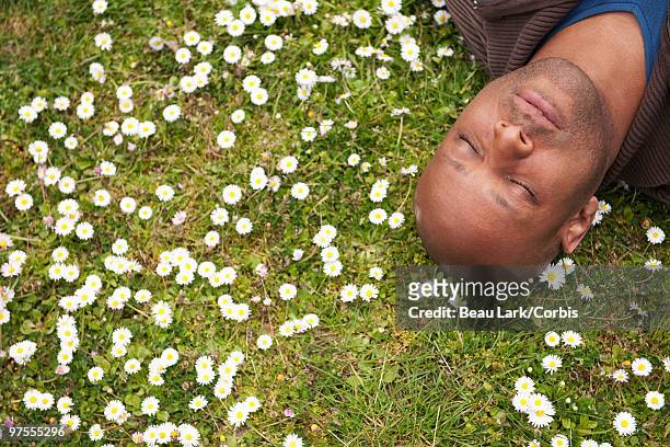 man lying in the grass - ヒナギク ストックフォトと画像