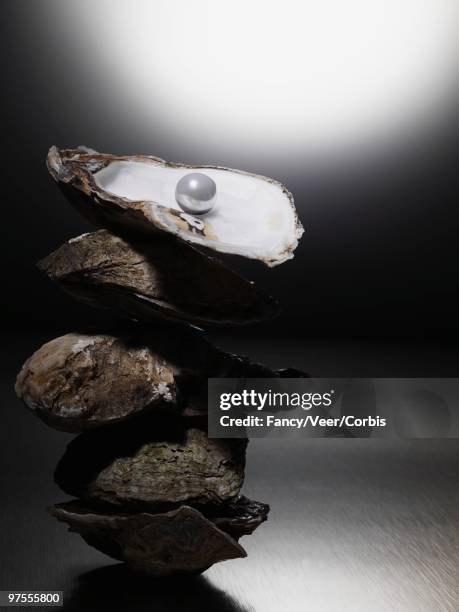 pearl inside oyster shell - balance finance minimal stock pictures, royalty-free photos & images