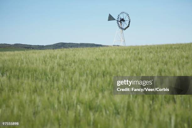 windmill in field - climat stock pictures, royalty-free photos & images