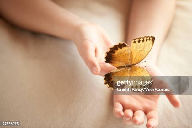 butterfly on woman's hand - animal arm stock pictures, royalty-free photos & images