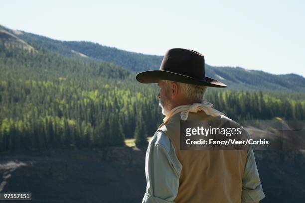 man looking out at landscape - foulard vent photos et images de collection