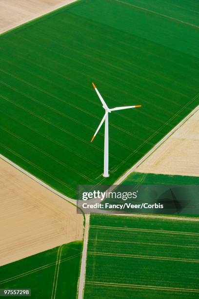 windmill in a field - help cross road stock pictures, royalty-free photos & images