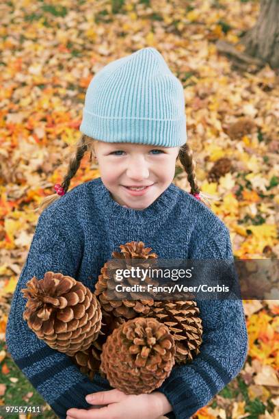 girl with an armful of pine cones - children only braided ponytail stock pictures, royalty-free photos & images