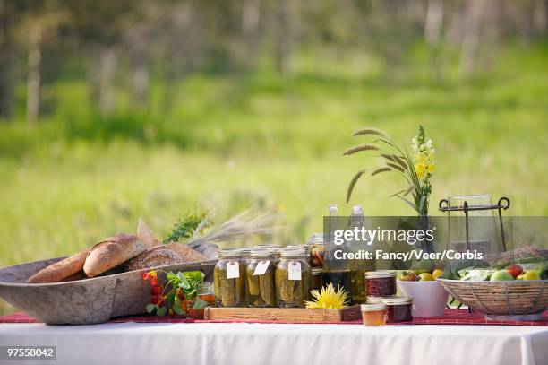 table laden with food - gala table stock pictures, royalty-free photos & images