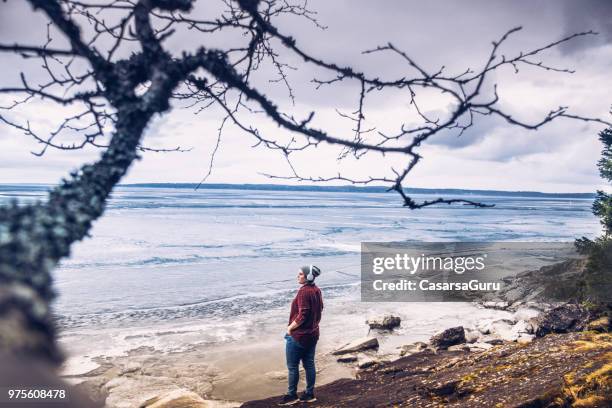 young woman enjoying, relaxing and observing the view of lake - lake shore stock pictures, royalty-free photos & images