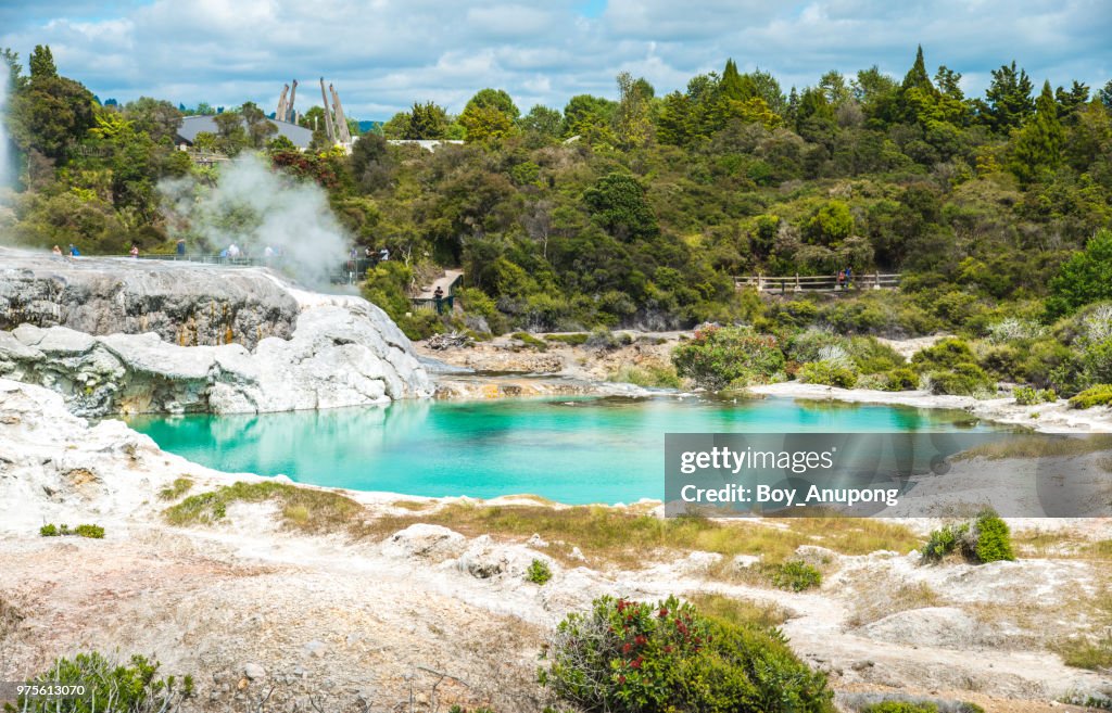 The beautiful geothermal hot pool nearly Pohutu and Prince of Wales Geysers in Whakarewarewa Thermal Village, Rotorua, New Zealand.