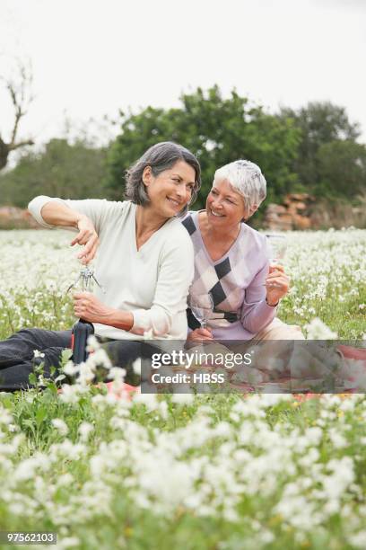 friends having picnic in field - friedenssymbol bildbanksfoton och bilder