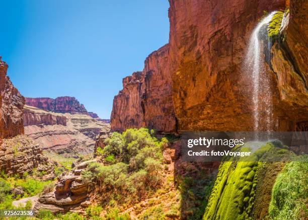 grand canyon ribbon falls green oasis waterfall kaibab trail arizona - north rim stock pictures, royalty-free photos & images