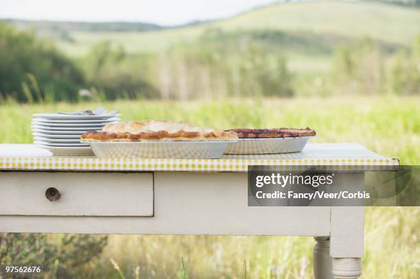 homemade pies on table - circle gala stock pictures, royalty-free photos & images