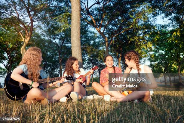 young-band auf den park - ukulele stock-fotos und bilder