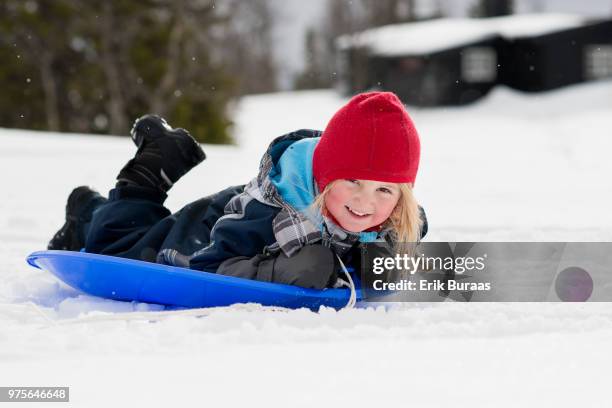 girl sledging - erik buraas stock-fotos und bilder