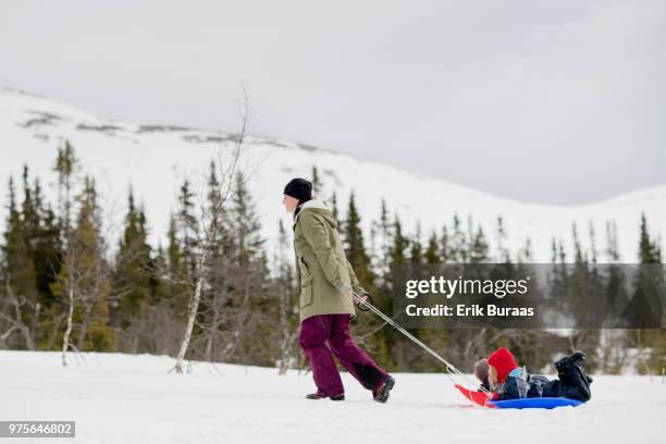 girl sledging - erik buraas stock-fotos und bilder