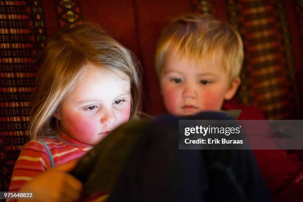 young siblings sharing a digital tablet - erik buraas stock-fotos und bilder