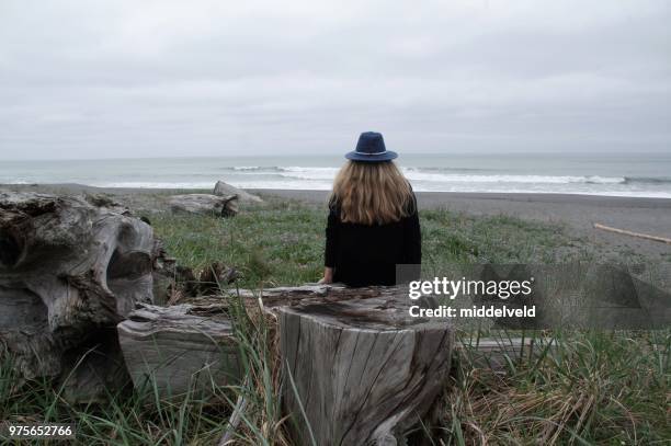 woman watching the ocean - redwood shores stock pictures, royalty-free photos & images