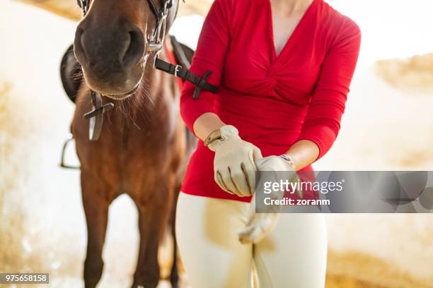 paardensport dragen paardrijden handschoenen - paardenbit stockfoto's en -beelden
