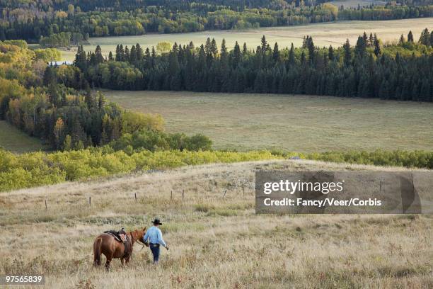 rancher leading horse through field - veer stock pictures, royalty-free photos & images