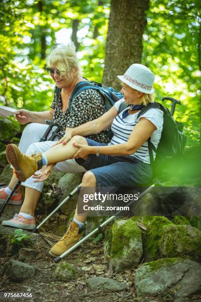 senior wandelaars rusten in hout - shes my best friend stockfoto's en -beelden