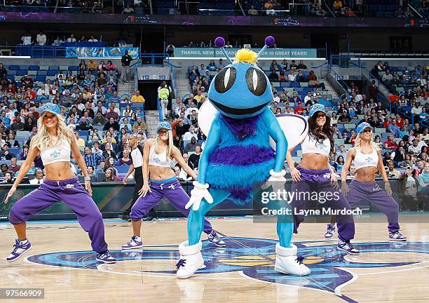 Team mascot Hugo and the New Orleans Hornets Honeybees dance team perform during the game against the Houston Rockets on February 21, 2010 at the New...