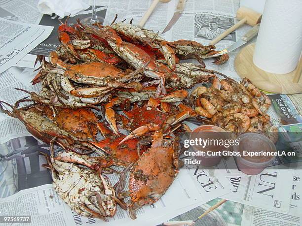 maryland crab feast - ellicott city maryland stock pictures, royalty-free photos & images