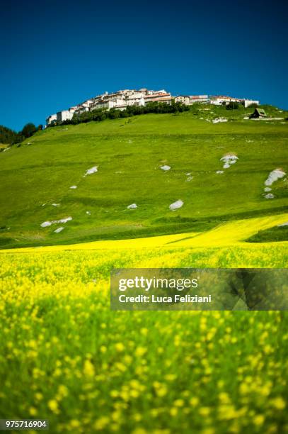 castelluccio su un giallo tappeto - giallo stock pictures, royalty-free photos & images