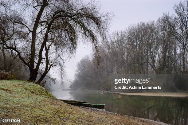 lingenfeld,germany - achim lammerts stock pictures, royalty-free photos & images