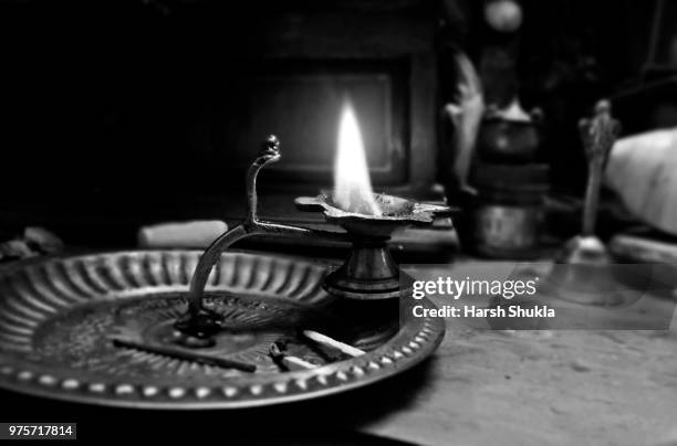 cultured lamp - cultured stock pictures, royalty-free photos & images