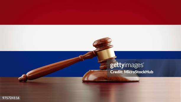 How to Choose the Right Lawyer for Your Needs in the Netherlands