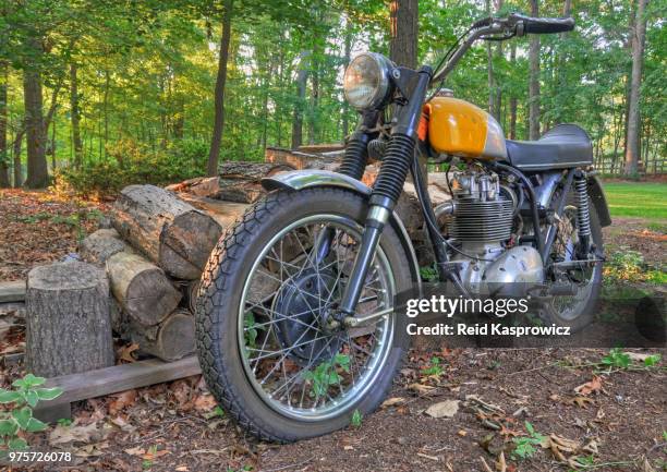 bsa in the backyard - 1960s backyard stock-fotos und bilder