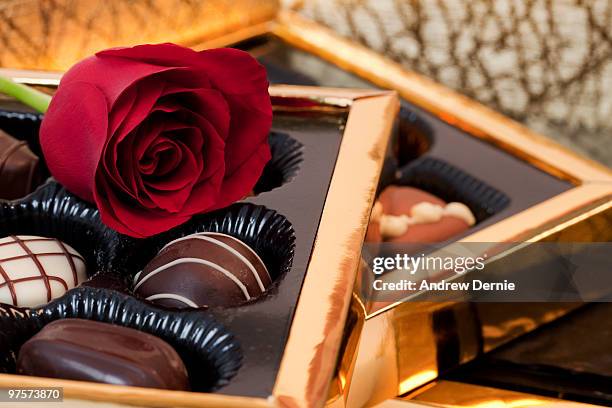 luxury chocolates - andrew dernie foto e immagini stock