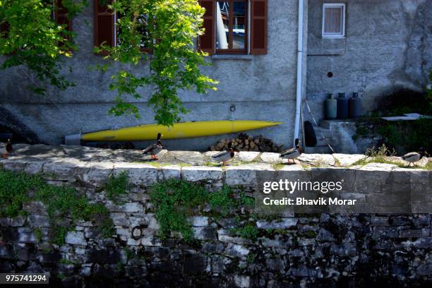 menaggio, italy - menaggio stock pictures, royalty-free photos & images