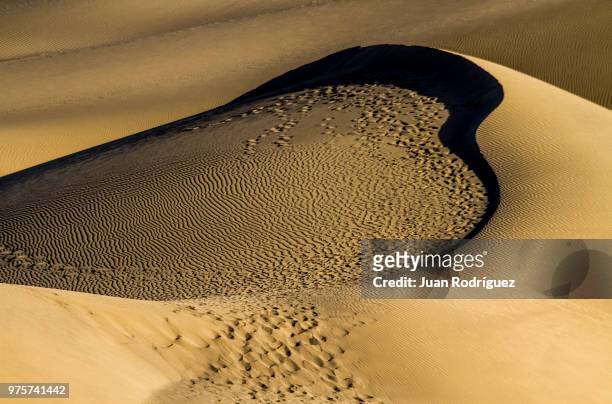 la duna - duna 個照片及圖片檔