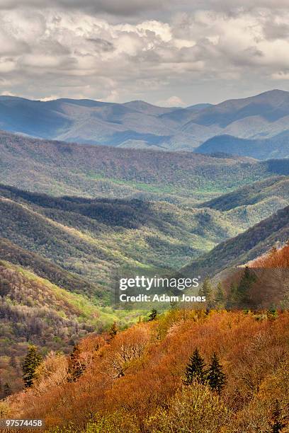 mountains of early spring color - newfound gap - fotografias e filmes do acervo