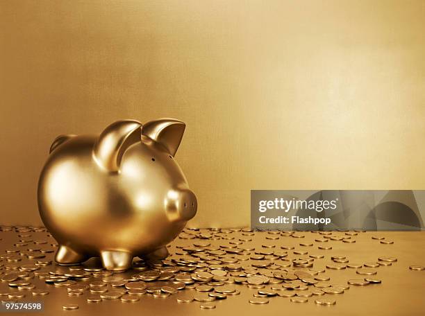 gold piggy bank with gold coins - avarizia foto e immagini stock