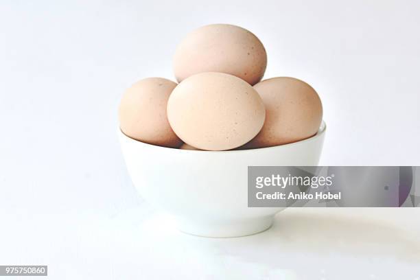eggs in a bowl - aniko hobel 個照片及圖片檔